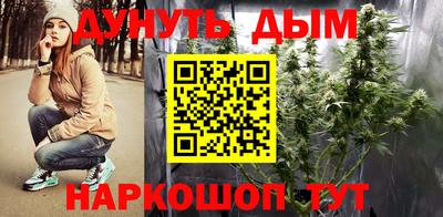 мяу мяу мука Краснознаменск