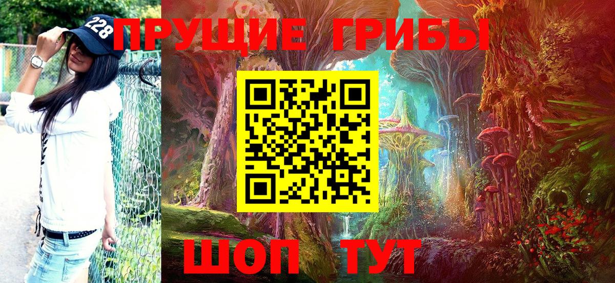 Галлюциногенные грибы мухоморы  Вход с VPN  Псилоцибиновые грибы мицелий  дарнет шоп  Кимовск 